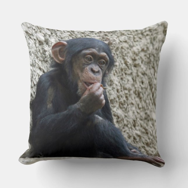 Coussin Mer de Chimpané 013 (Recto)