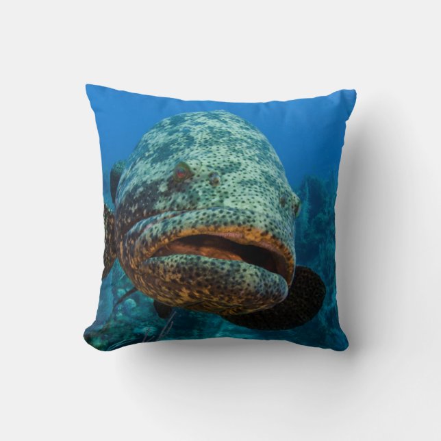 Coussin Mérou géant de l'Atlantique (Recto)