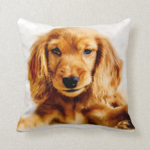 Coussin mignon de chiot de cocker
