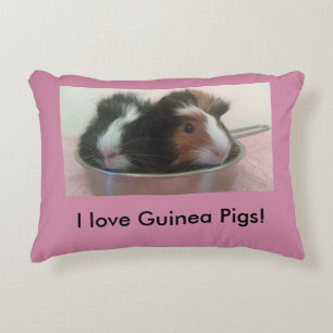 coussin mignon de cobaye