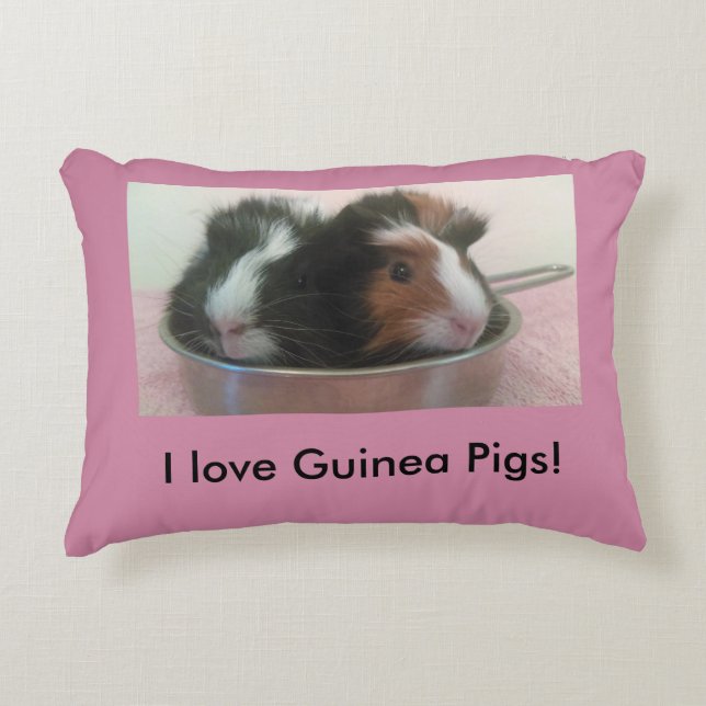 coussin mignon de cobaye (Devant)