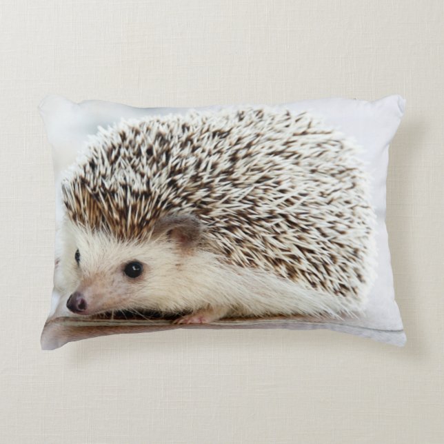 Coussin mignon de décor de hérisson de bébé (Devant)