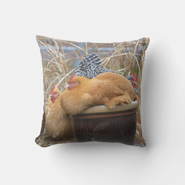 Coussin mignon de poulet (Recto)