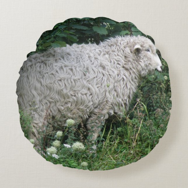 Coussin mignon gourmand (Devant)