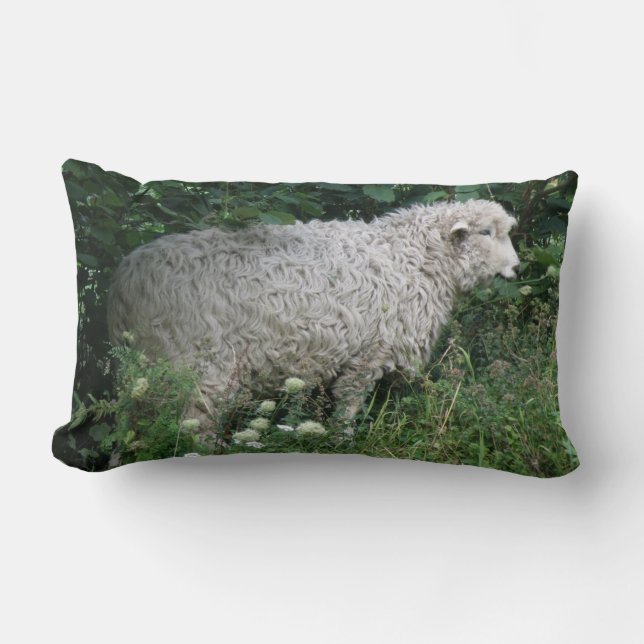Coussin mignon gourmand (Recto)