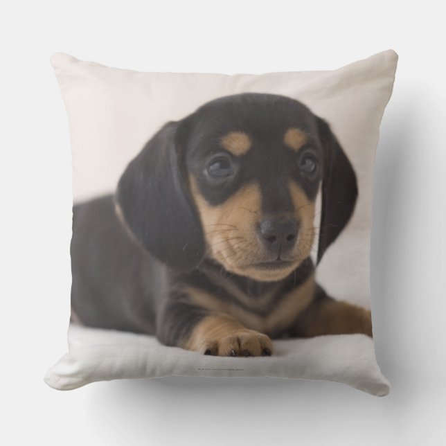 Coussin Miniature Dachshund (Recto)
