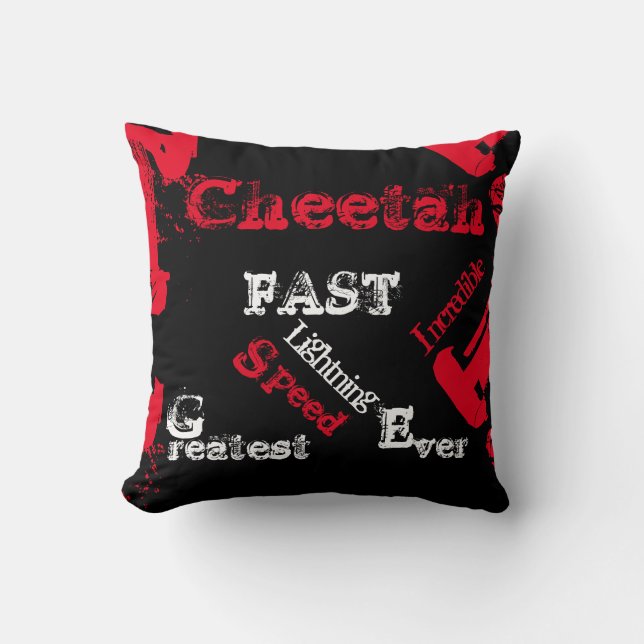 COUSSIN MISSOURI (Recto)