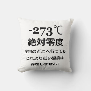 Coussin Moins 273