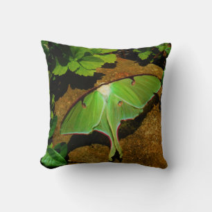 Coussin Mois Luna Vert