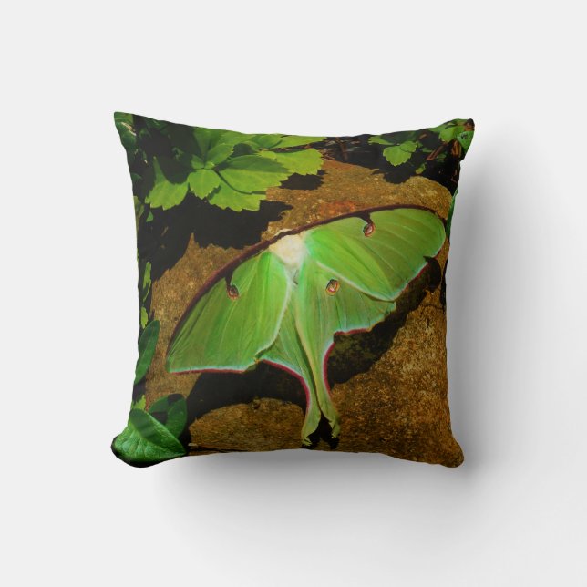 Coussin Mois Luna Vert (Recto)