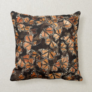 Coussin Monarque Butterflies