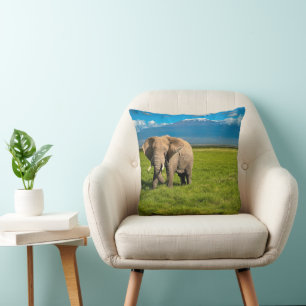 Coussin Montagnes   Mont Kilimandjaro Tanzanie, Afrique