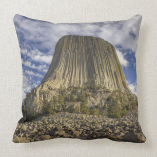 Coussin Monument national de la tour Devils