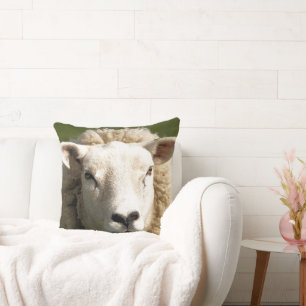 COUSSIN MOQUETTE