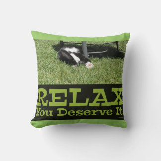 Coussin Motivation Relax Chat Épic Slogan