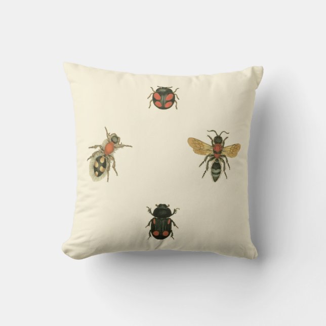 Coussin Mouches et coléoptères par Vision Studio (Recto)