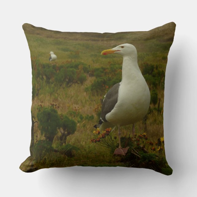 Coussin Mouettes sur l'île d'Anacapa (Recto)