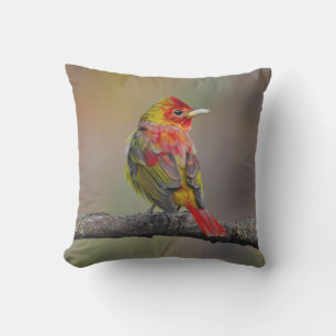 Coussin Moulage de Tangère - Photo originale