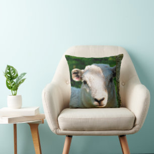 COUSSIN MOUTON PETIT ET MIGNON