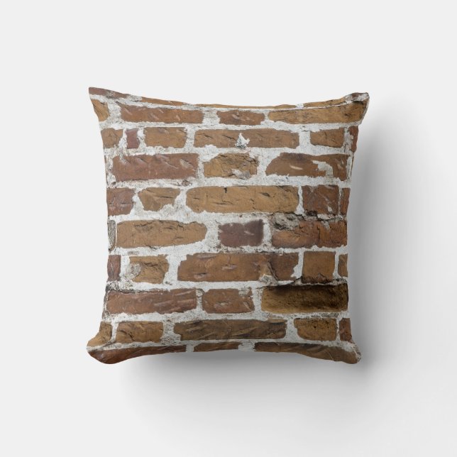 COUSSIN MUR BRICKS (Recto)