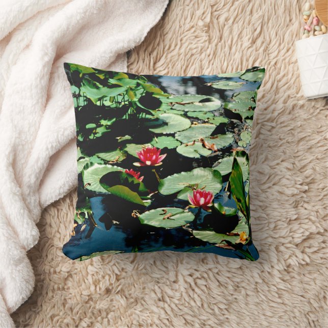 Coussin Nappes D'Eau (Couverture)
