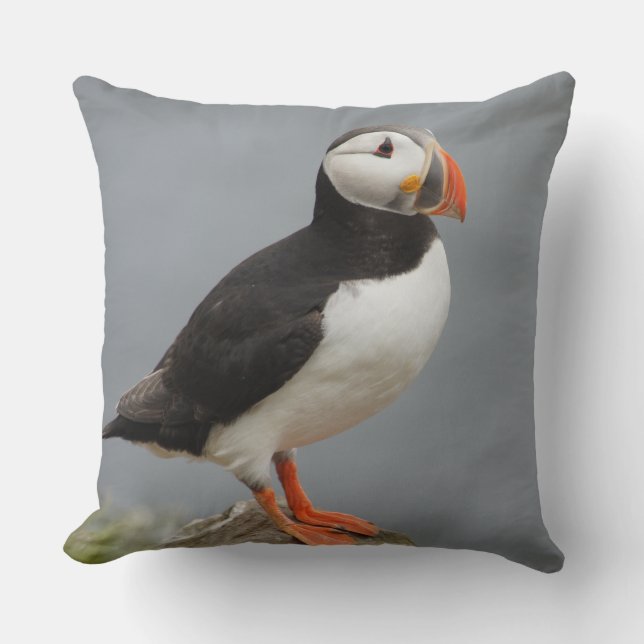 Coussin Nature d'ANTARCTIQUE d'oiseau de macareux (Recto)
