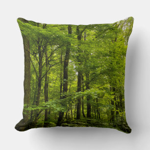 Coussin Nature Été Forêt Verte Photo