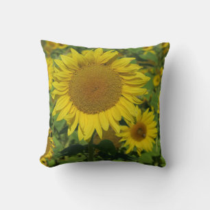 Coussin nature, fleur, été, tournesol, fleur, fleur, flora