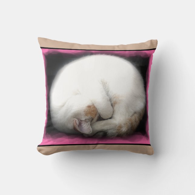 Coussin Ne touchez pas au carreau de chat (Recto)