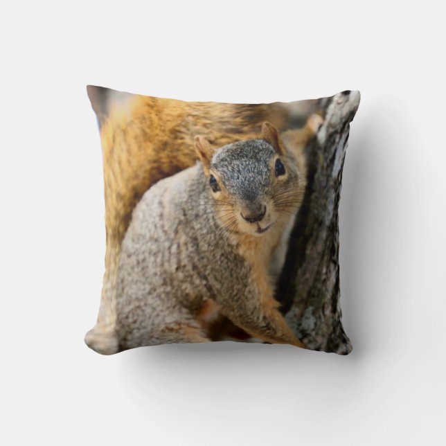 Coussin N'êtes-vous pas en train de venir ? (Recto)