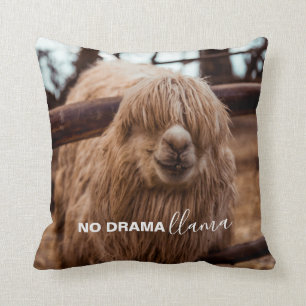 Coussin No Drama Llama Silly Alpaca Photo