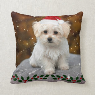 Coussin Noël des chiots maltais