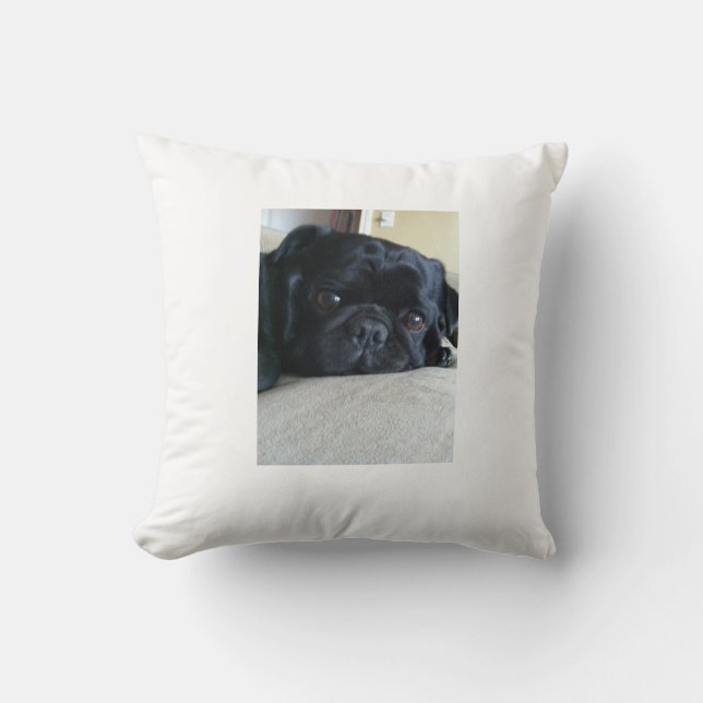 Coussin noir de carlin (Recto)