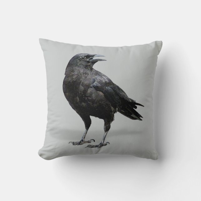 Coussin noir de corneille (Recto)