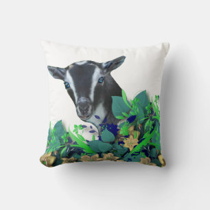 Coussin Nom du troupeau de chèvres naines nigériane Coussi