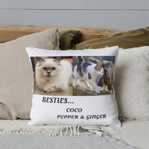 Coussin Noms de photos de chats amis de compagnie Meilleur