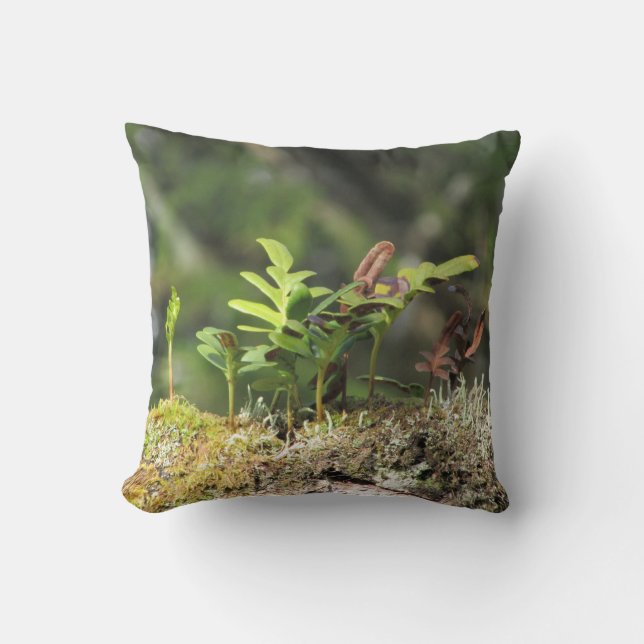 Coussin Nouvelle Croissance Ferme Moss Nature Enthousiaste (Recto)
