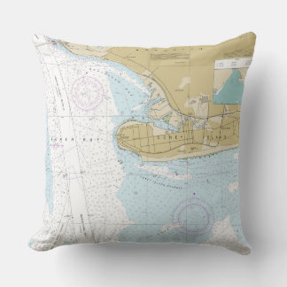 Coussin NY_coney island