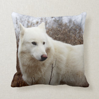 Coussin Obtenez mon bon côté
