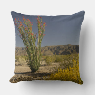 Coussin Ocotillo et séné du désert