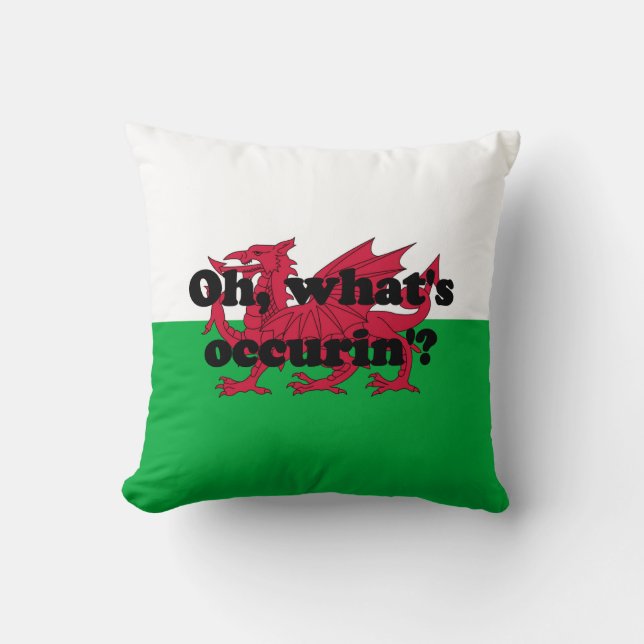 Coussin "Oh, quel est occurin" ? ' (Recto)