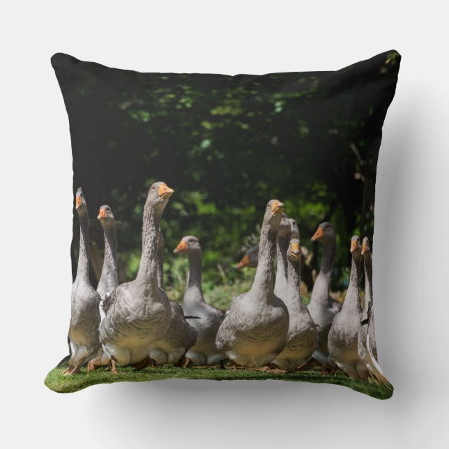 Coussin Oies dans le carreau de Dordogne (Recto)