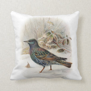 Coussin Oiseau commun vintage