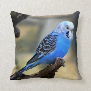 Coussin Oiseau de Blue Budgie Parrot