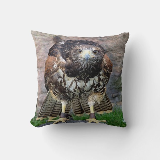 Coussin Oiseau de faucon coupé la queue par #15-Red de (Recto)