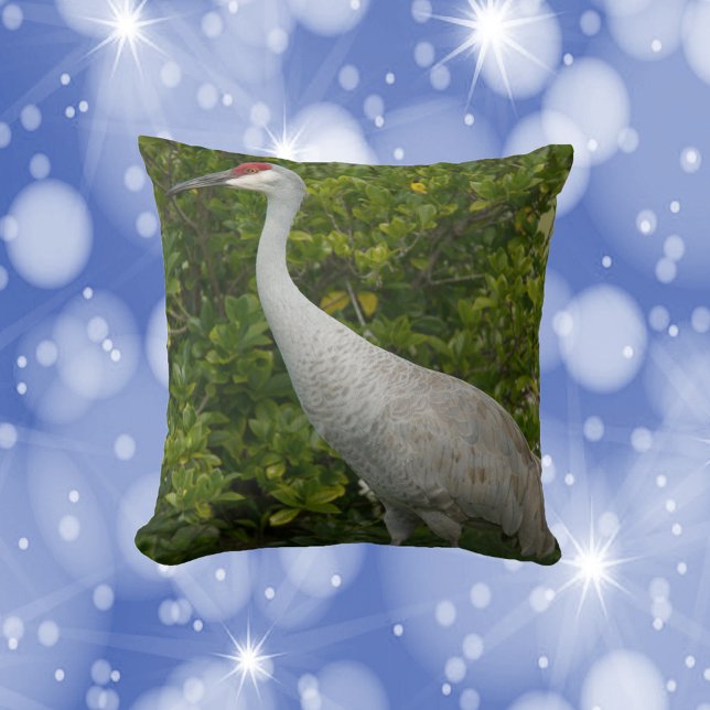 Coussin Oiseau de grue de Sandhill devant la verdure Photo (A throw pillow featuring a photo of a sandhill crane bird.)
