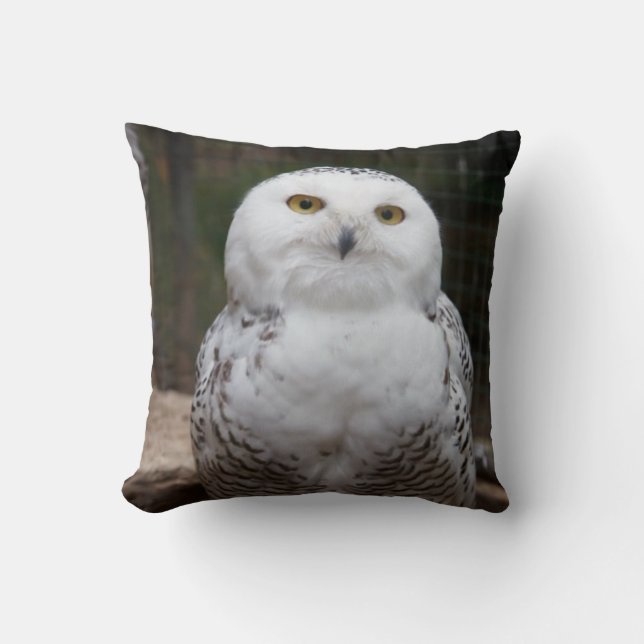 Coussin Oiseau de hibou de la proie #19-Snowy (Recto)