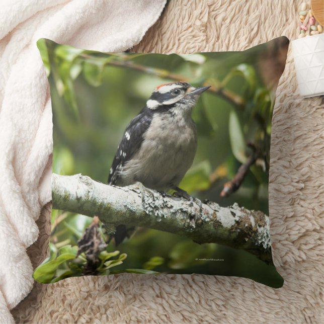 Coussin Oiseau de Pic Downy mou dans l'arbre à poires (Couverture)