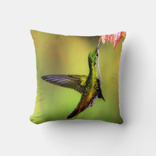 Coussin Oiseau rose de colibri