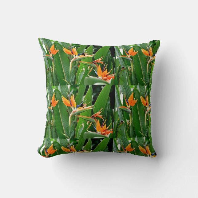 COUSSIN OISEAU TROPICAL DU PARADIS (Recto)
